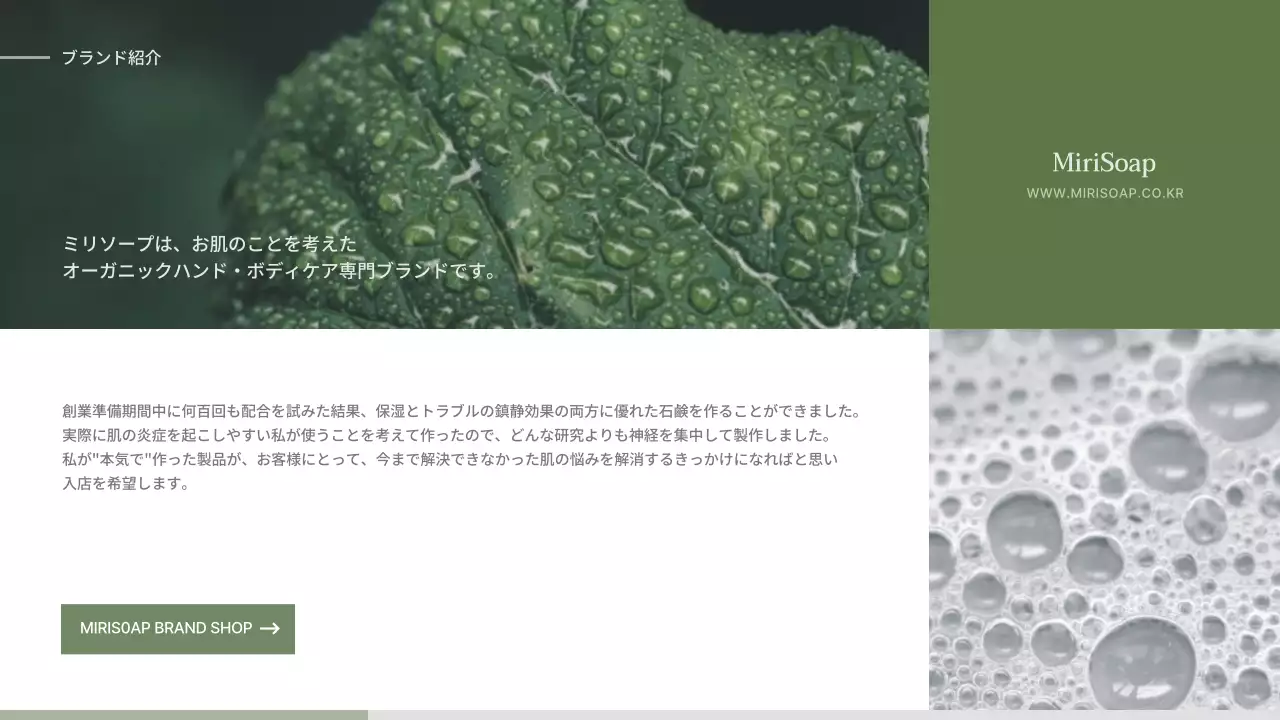 緑 シンプル ソープ パンフレット プレゼンテーション