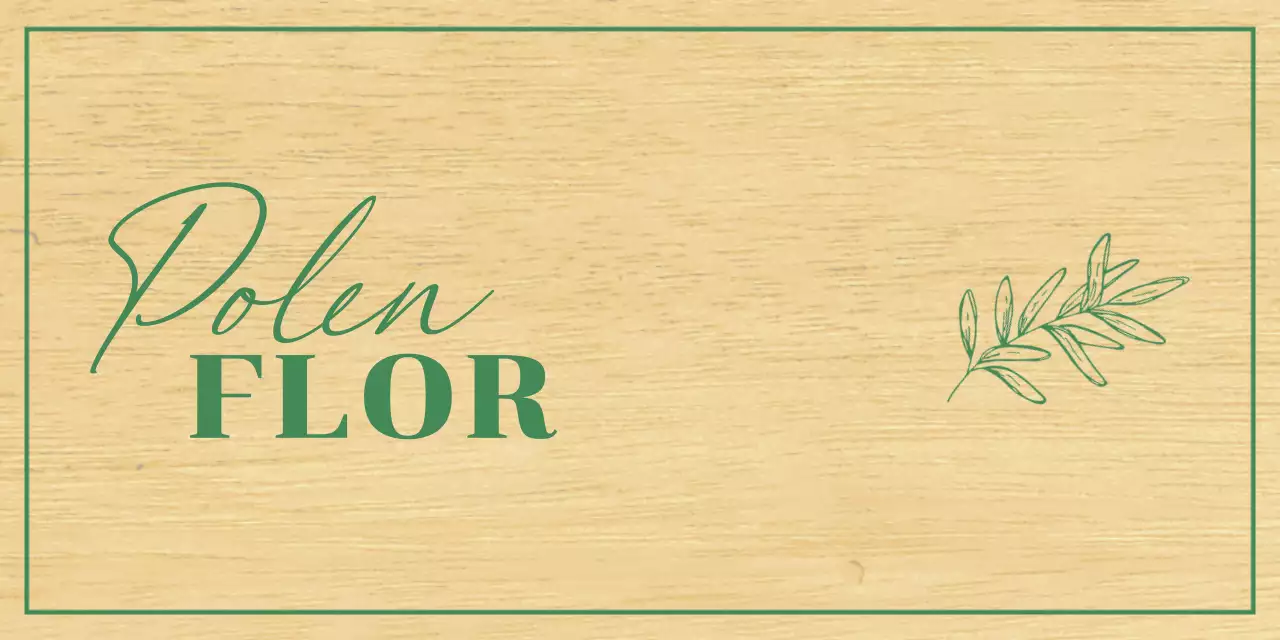 Diseño de floristería con ilustraciones botánicas verdes dibujadas a mano