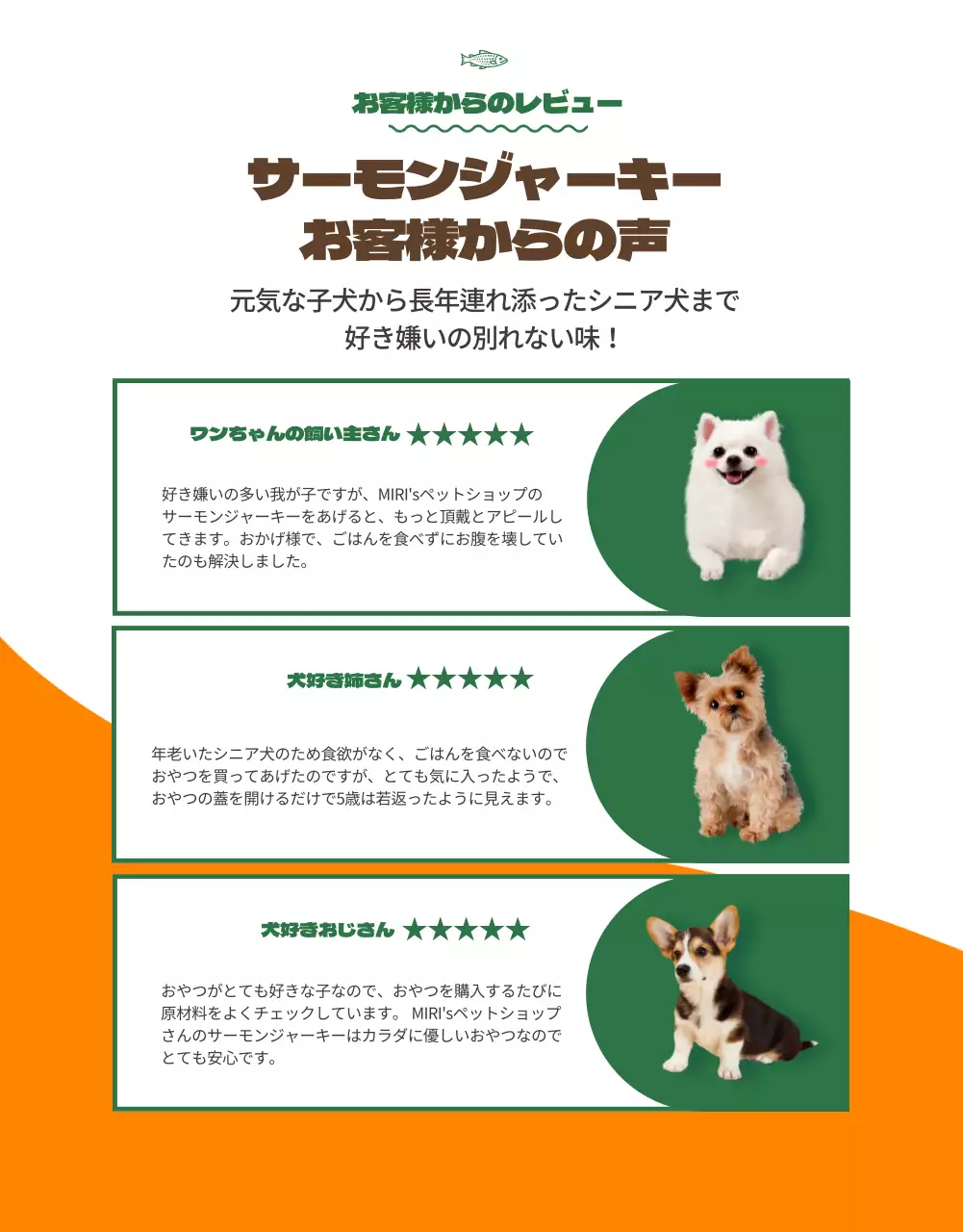 オレンジカラーポイントプレミアムペットフード紹介(詳細ページ)