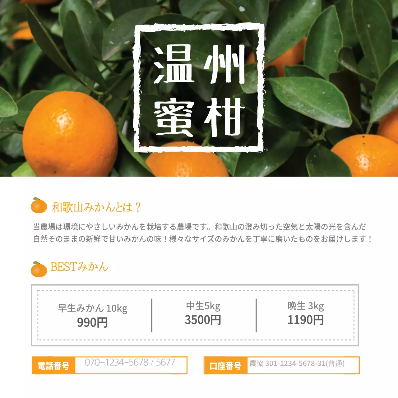 オレンジ シンプル みかん ポスター ウェブバナー