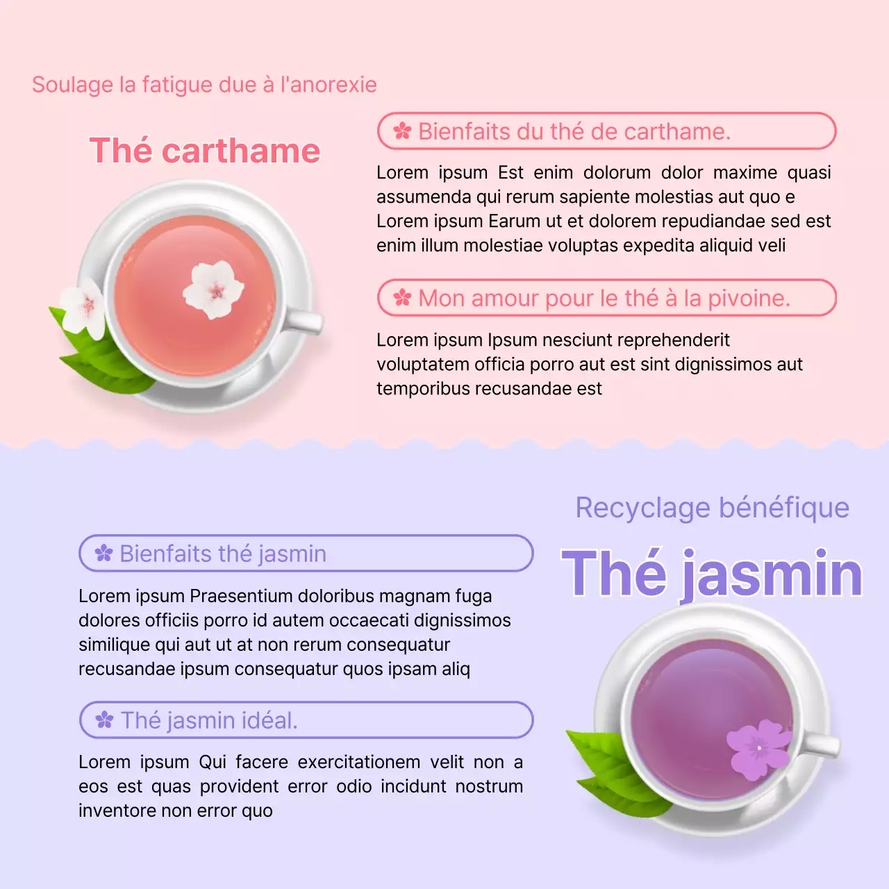 Des illustrations fraîches et jaunes fournissent des informations sur les thés de fleurs printaniers.