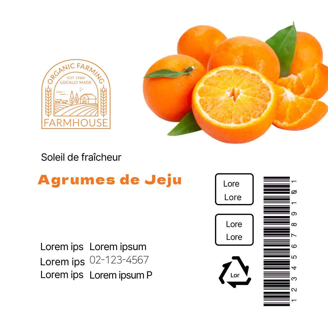 Belle étiquette d'agrumes de Jeju blanc-orange