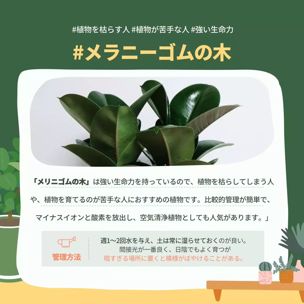 緑 シンプル 植物 ガイド Instagram カルーセル