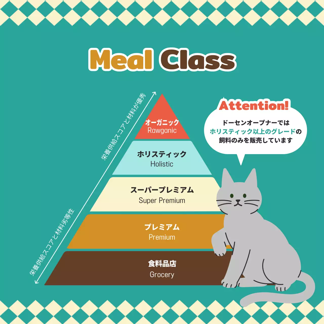 緑 ポップ ペット 広告 Instagram カルーセル