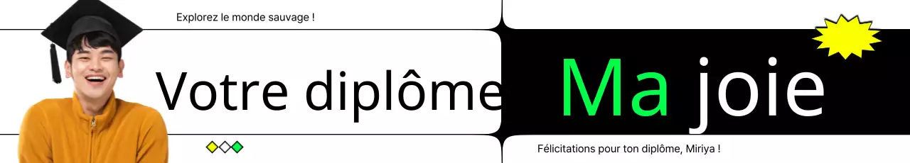 Modèles de diplômes branchés aux lignes épurées