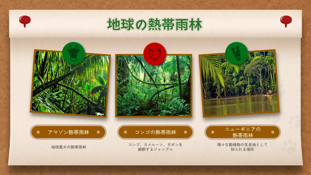 茶色 シンプル 動物 パンフレット プレゼンテーション