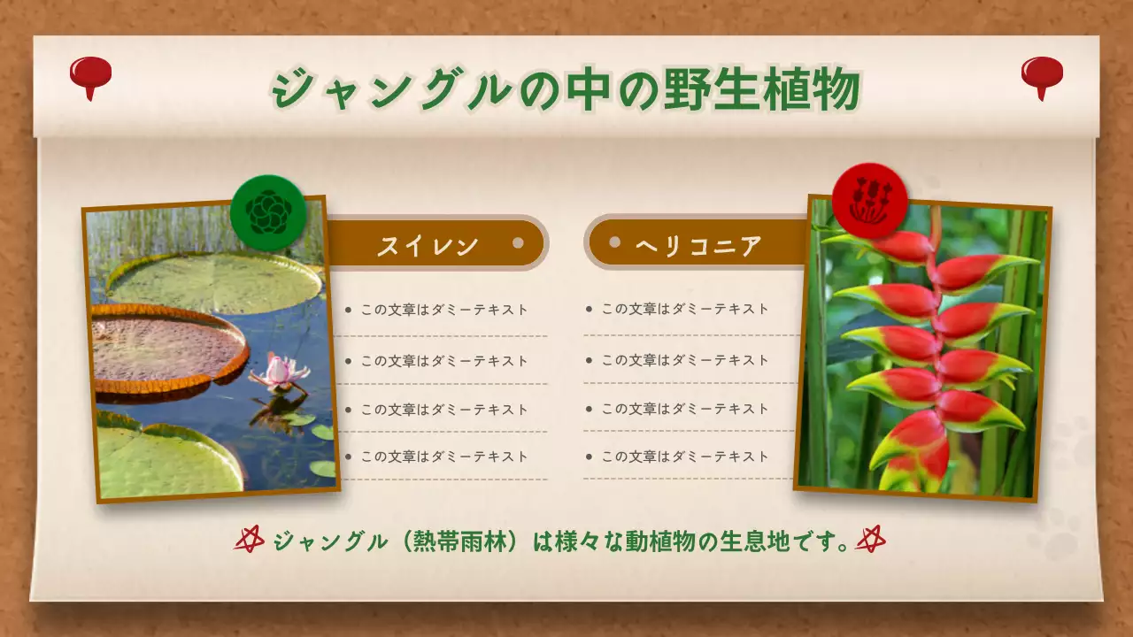 茶色 シンプル 動物 パンフレット プレゼンテーション