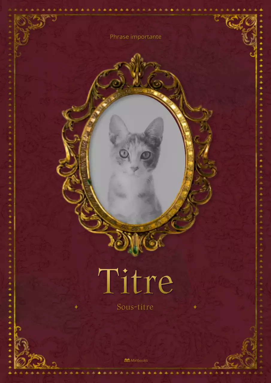 Une couverture de roman dans un cadre rouge, antique et vintage