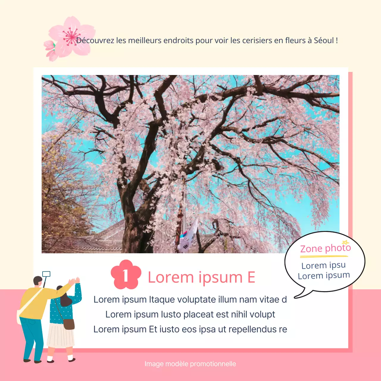 Illustration des taches et des périodes de floraison des cerisiers en rose