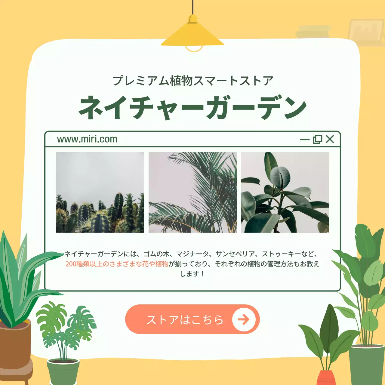 緑 シンプル 植物 ガイド Instagram カルーセル