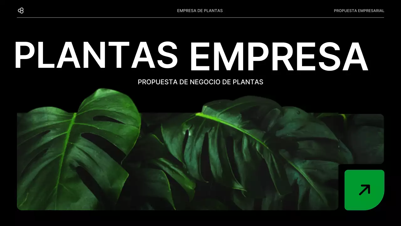 Propuesta de negocio para una empresa con un concepto de hoja natural verde y negro