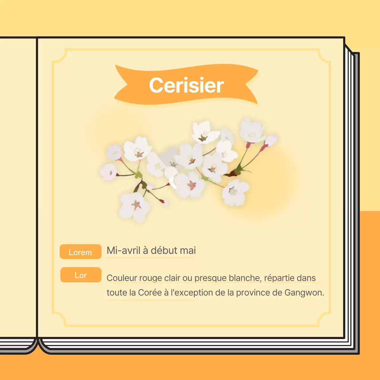 Concept de livre informatif sur les cerisiers en fleurs dans des couleurs pastel