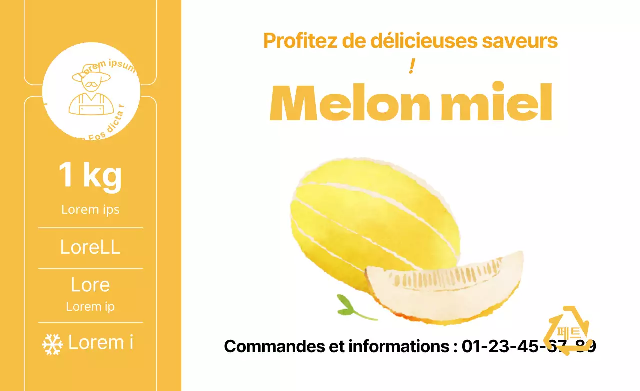 Illustration d'un melon de fruits et légumes d'été, autocollants simples par couleur
