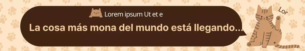 Adhesivos para paquetes