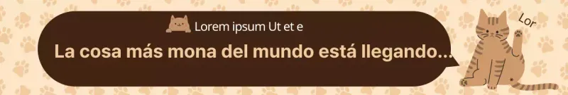 Adhesivos para paquetes