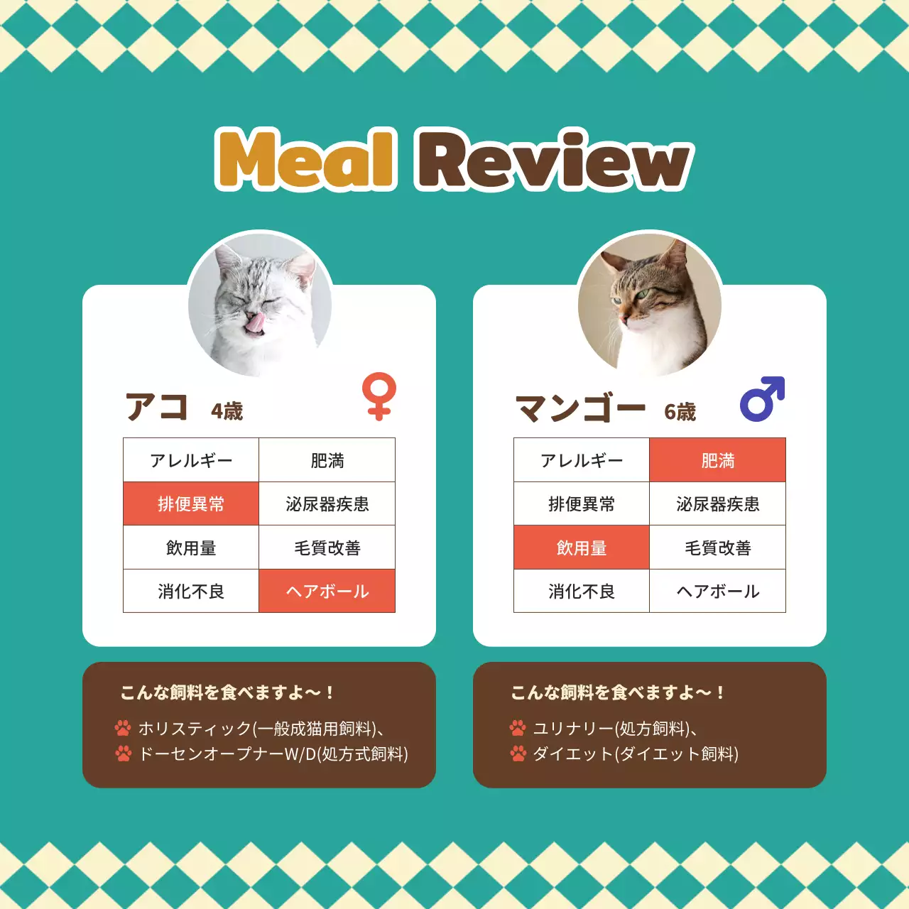 緑 ポップ ペット 広告 Instagram カルーセル