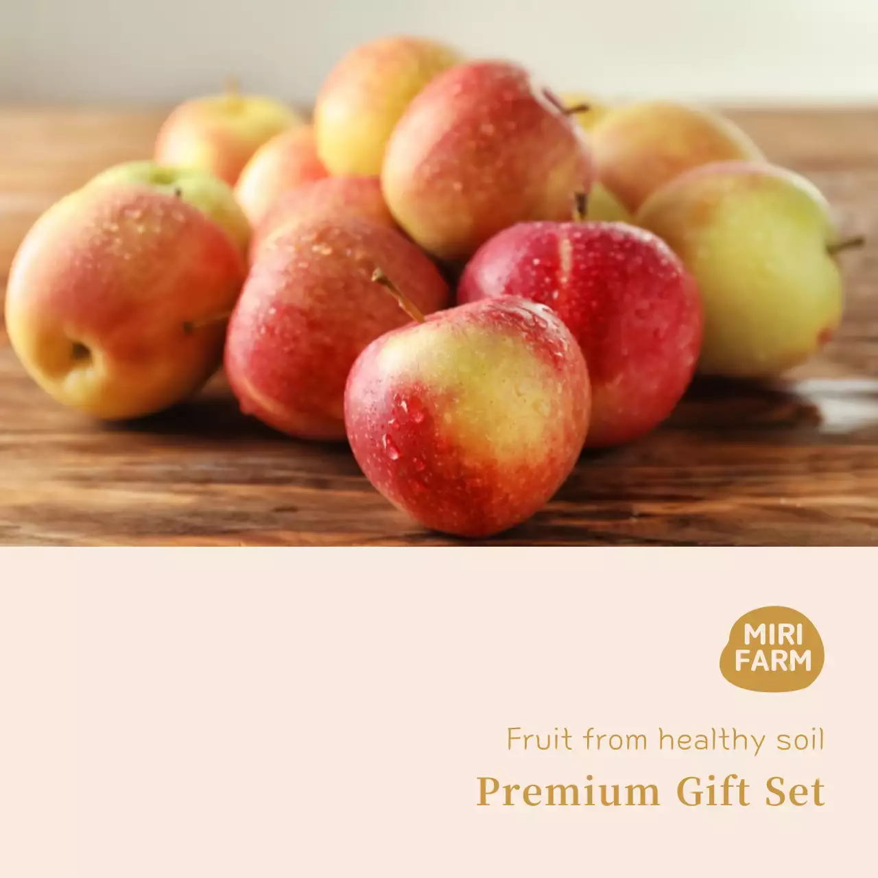 Stiker Apel Gambar Sederhana