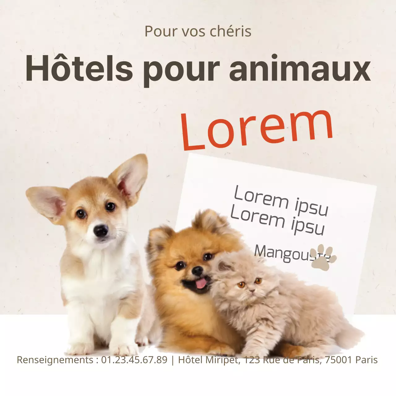 Hôtels pour animaux