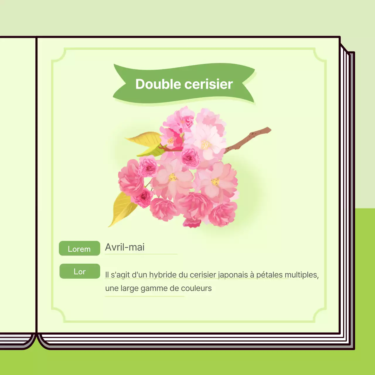 Concept de livre informatif sur les cerisiers en fleurs dans des couleurs pastel