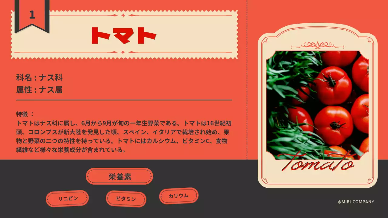 赤 レトロ トマト パンフレット プレゼンテーション