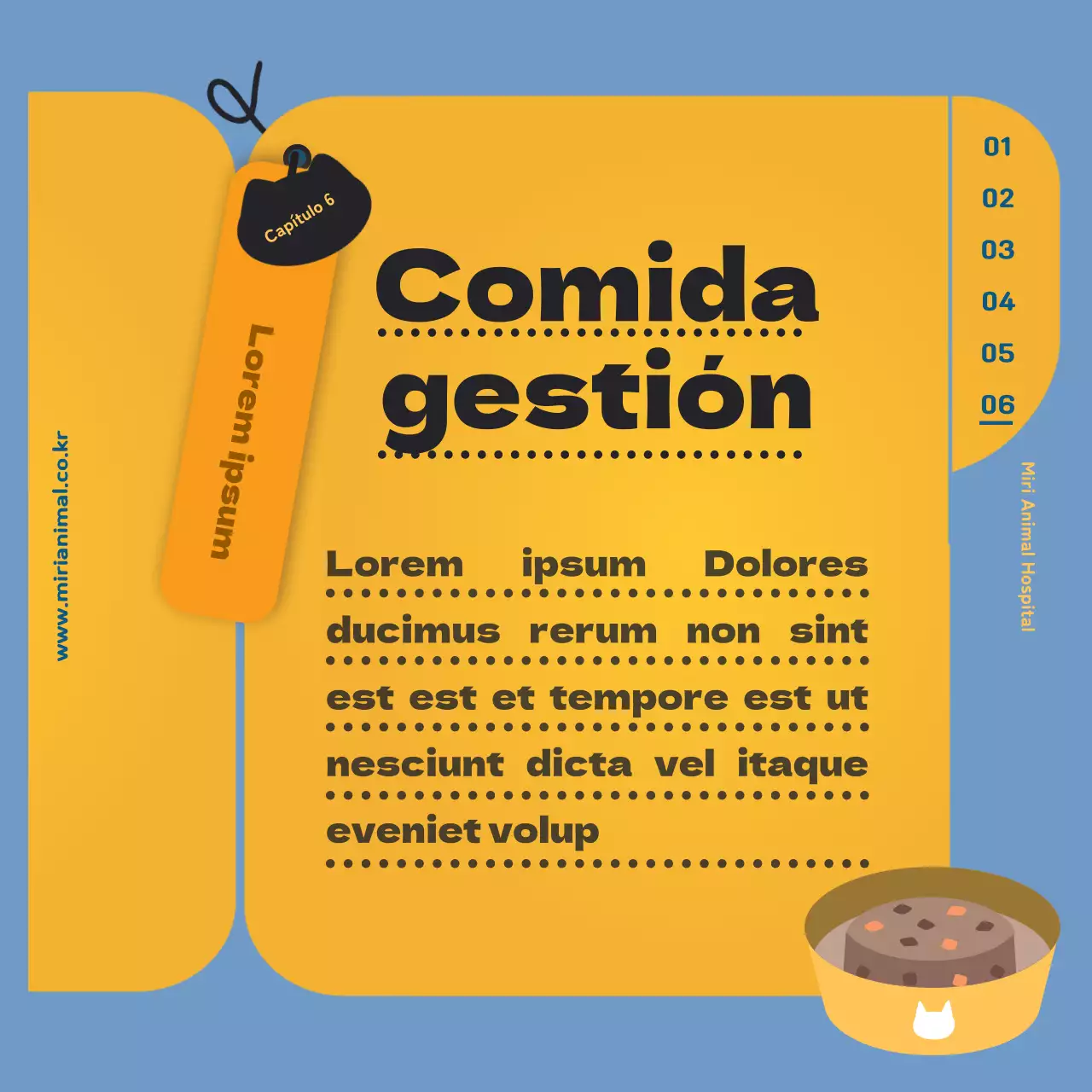 La información sanitaria de su gato, resaltada en la hoja amarilla de registro sanitario.