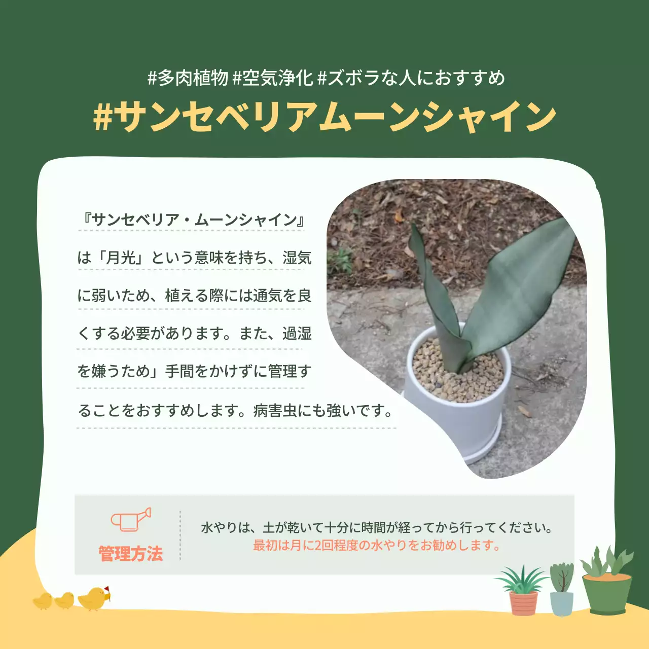 緑 シンプル 植物 ガイド Instagram カルーセル