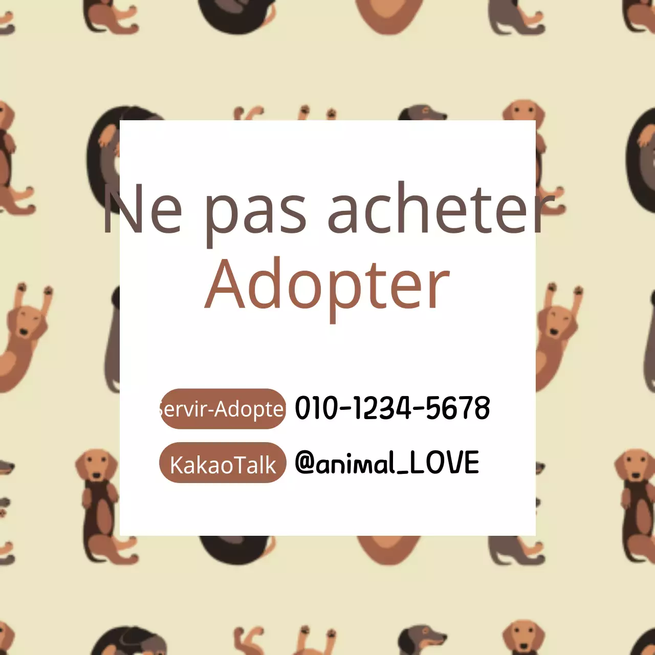 Animaux de compagnie