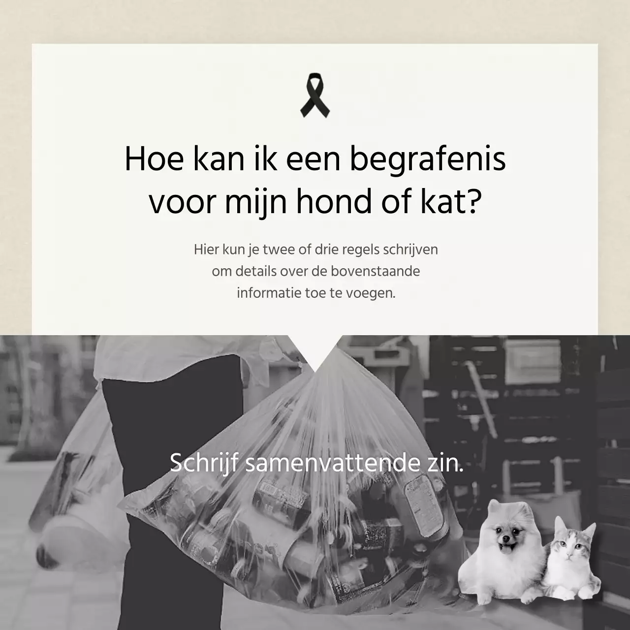 Schone tekst in ivoorKaarten voor huisdierenNieuws