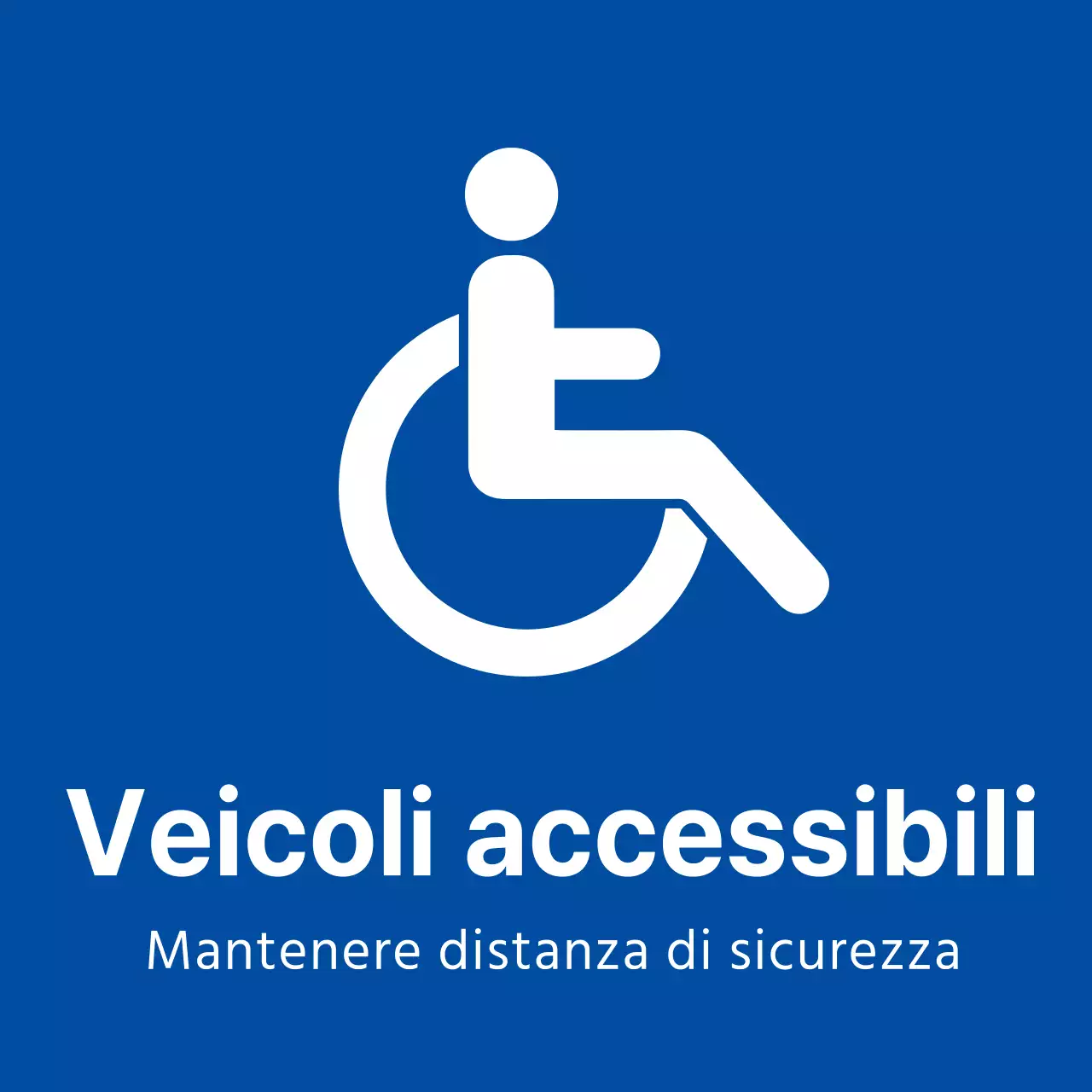 Magneti per auto per disabili