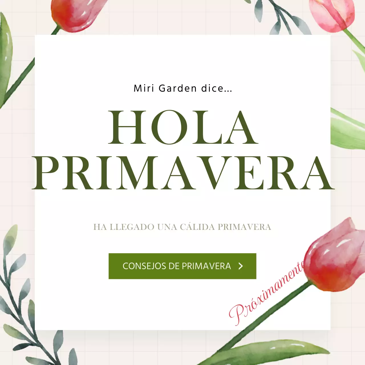 Ipchun emocional con puntos verdes