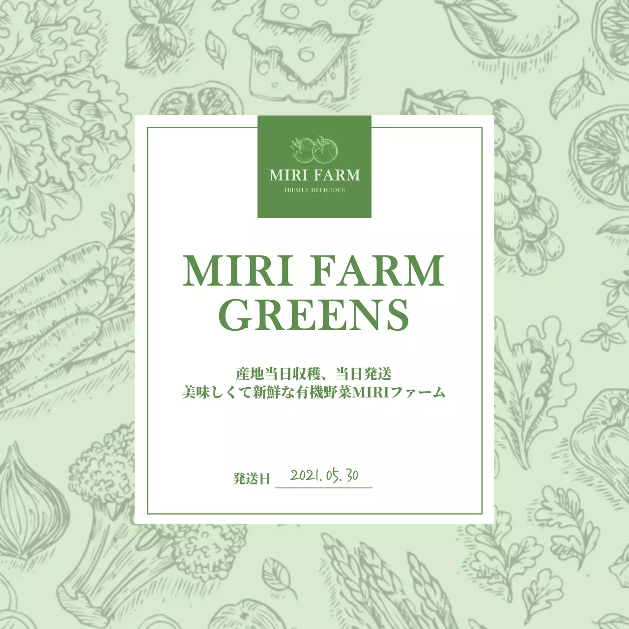 薄緑色の野菜のイラストポストカード