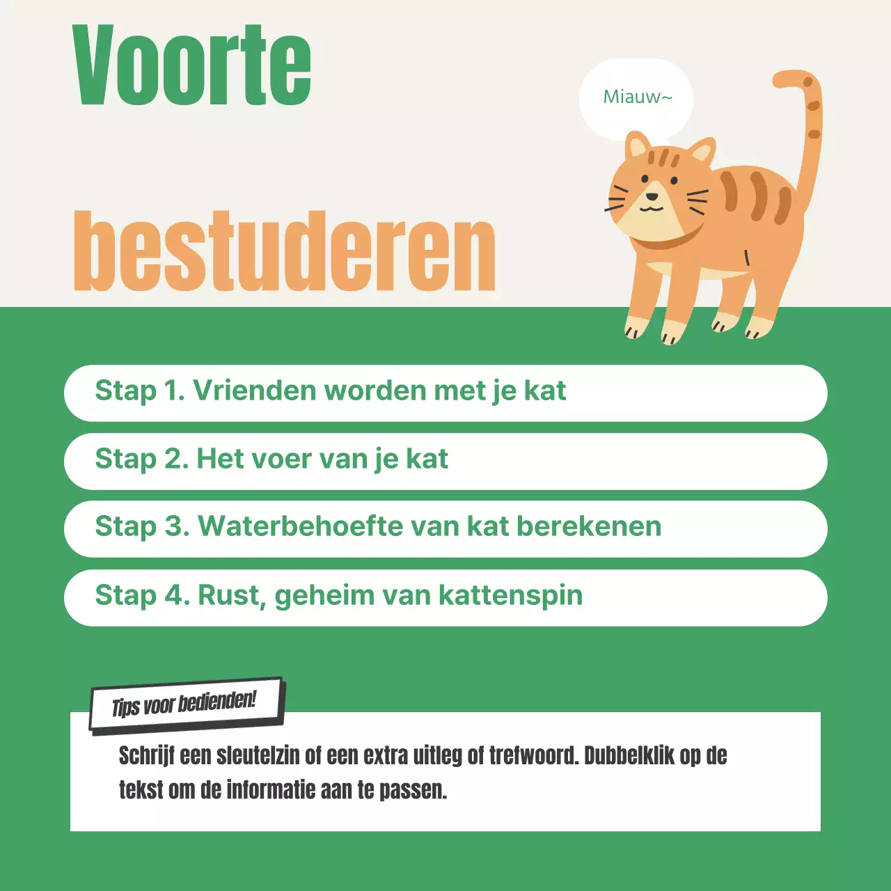 Over het groene en oranje examen voor kattenbakcertificaten