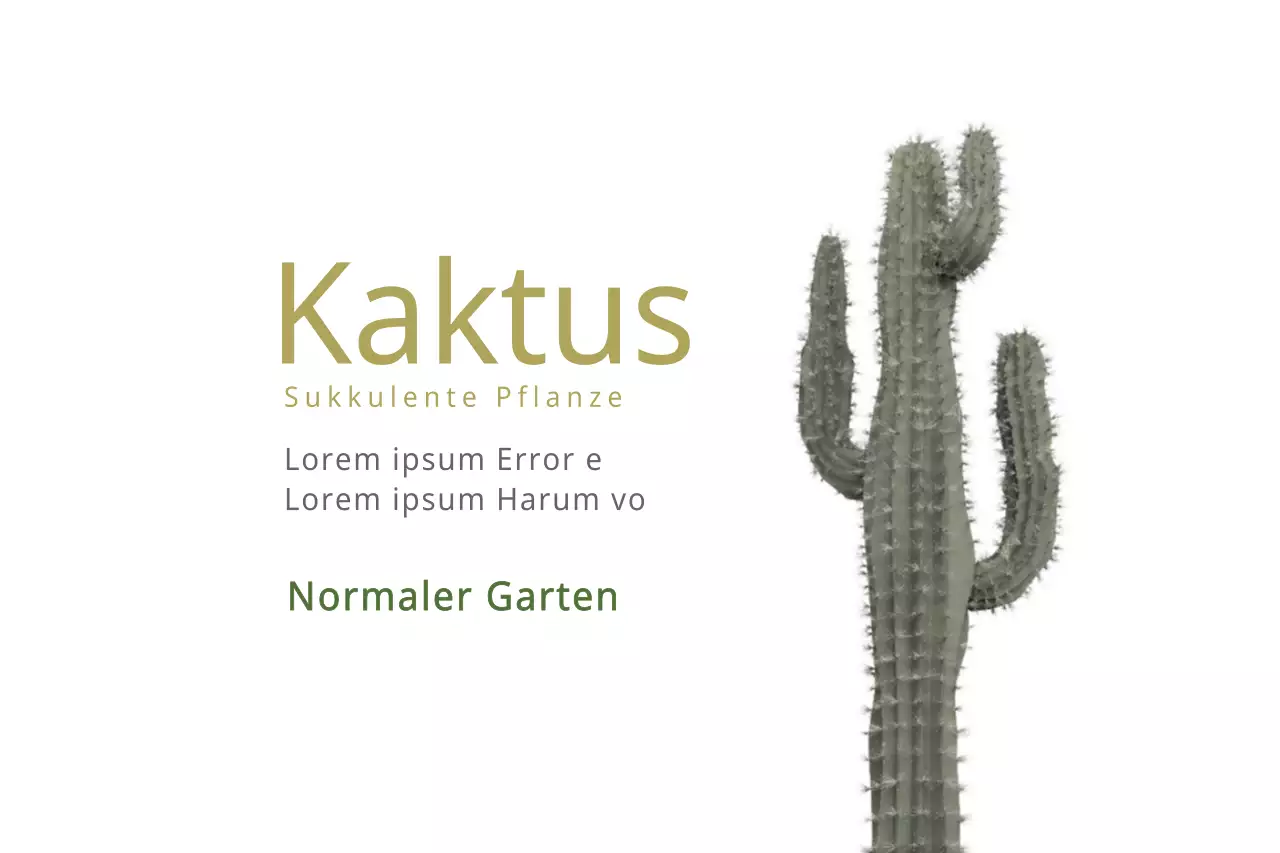 Kaktus