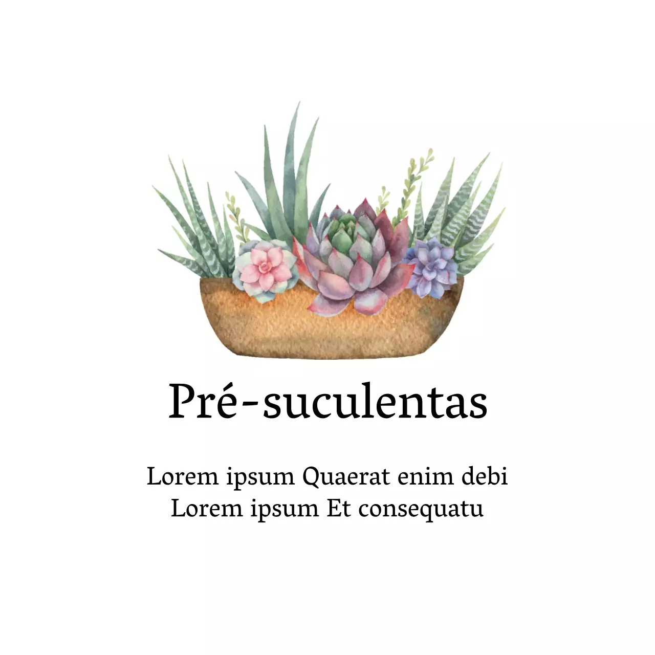 Etiquetas de jardim botânico brancas, ilustradas e limpas