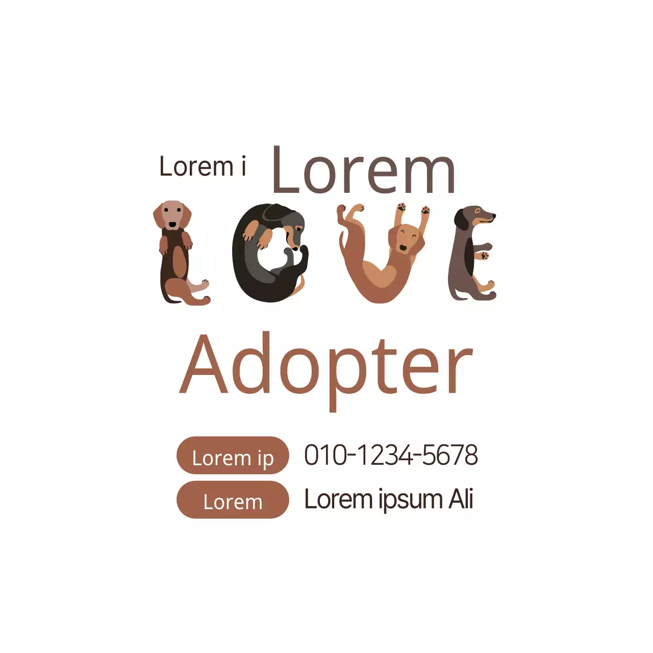 Adopter un chien errant