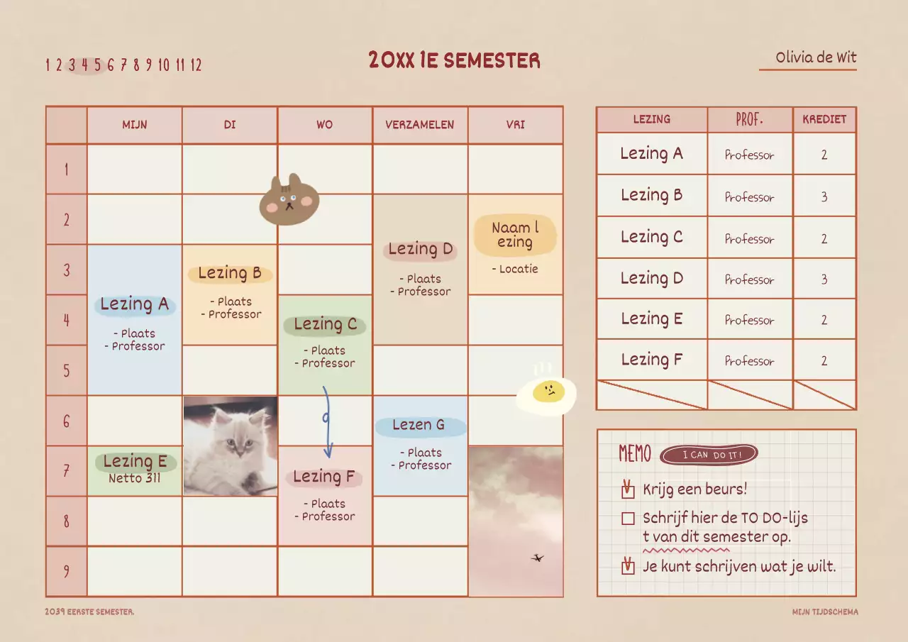 Het roze Dakukoncept-tijdschema