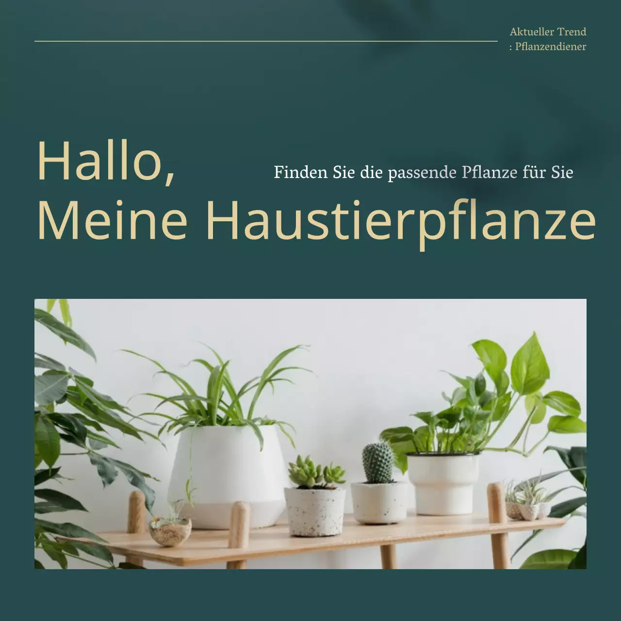 Grüne und goldene Trendpflanzen für Haustiere erklärt