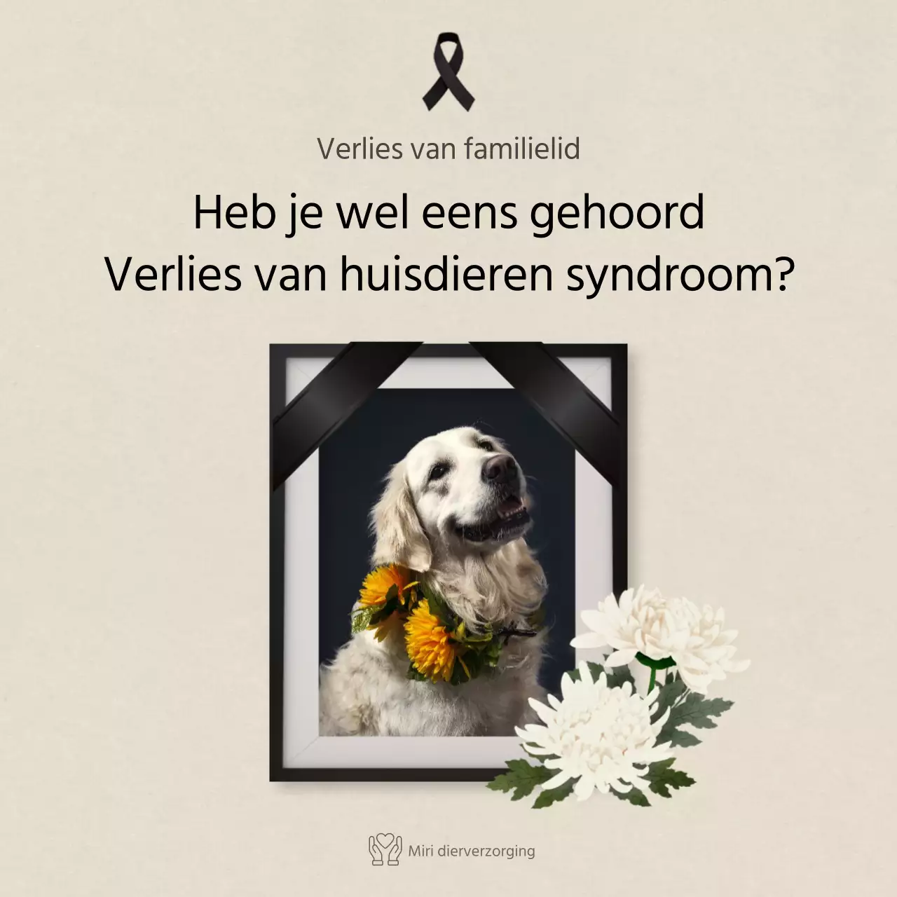 Schone tekst in ivoorKaarten voor huisdierenNieuws
