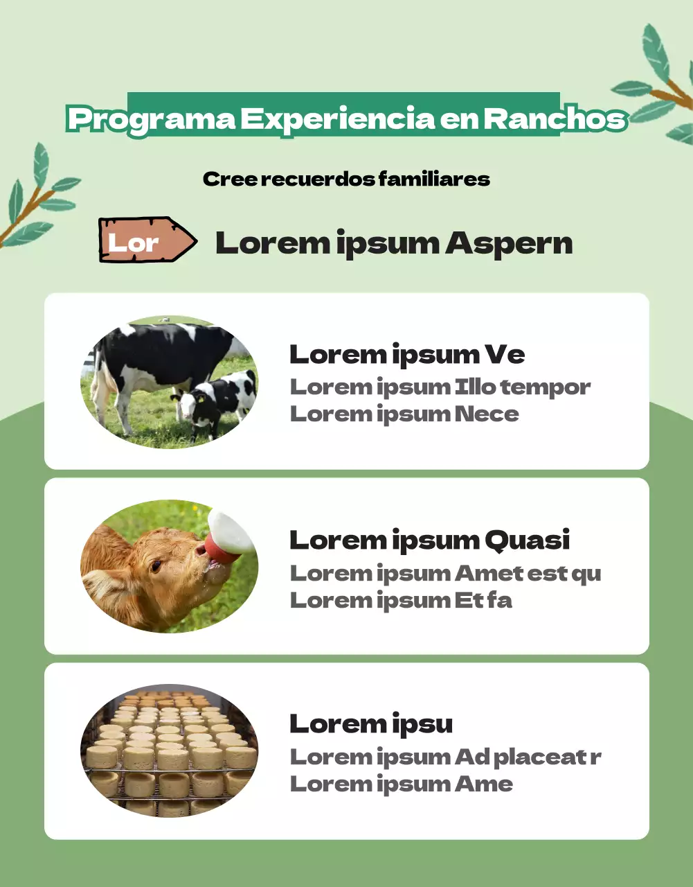 Presentamos la experiencia del rancho ilustrado