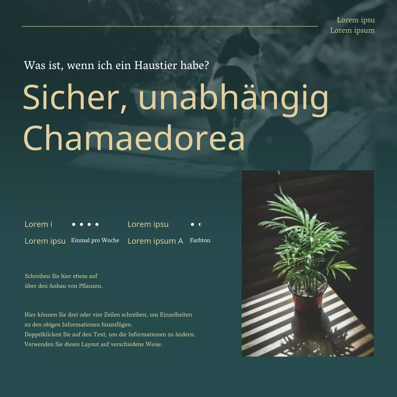 Grüne und goldene Trendpflanzen für Haustiere erklärt