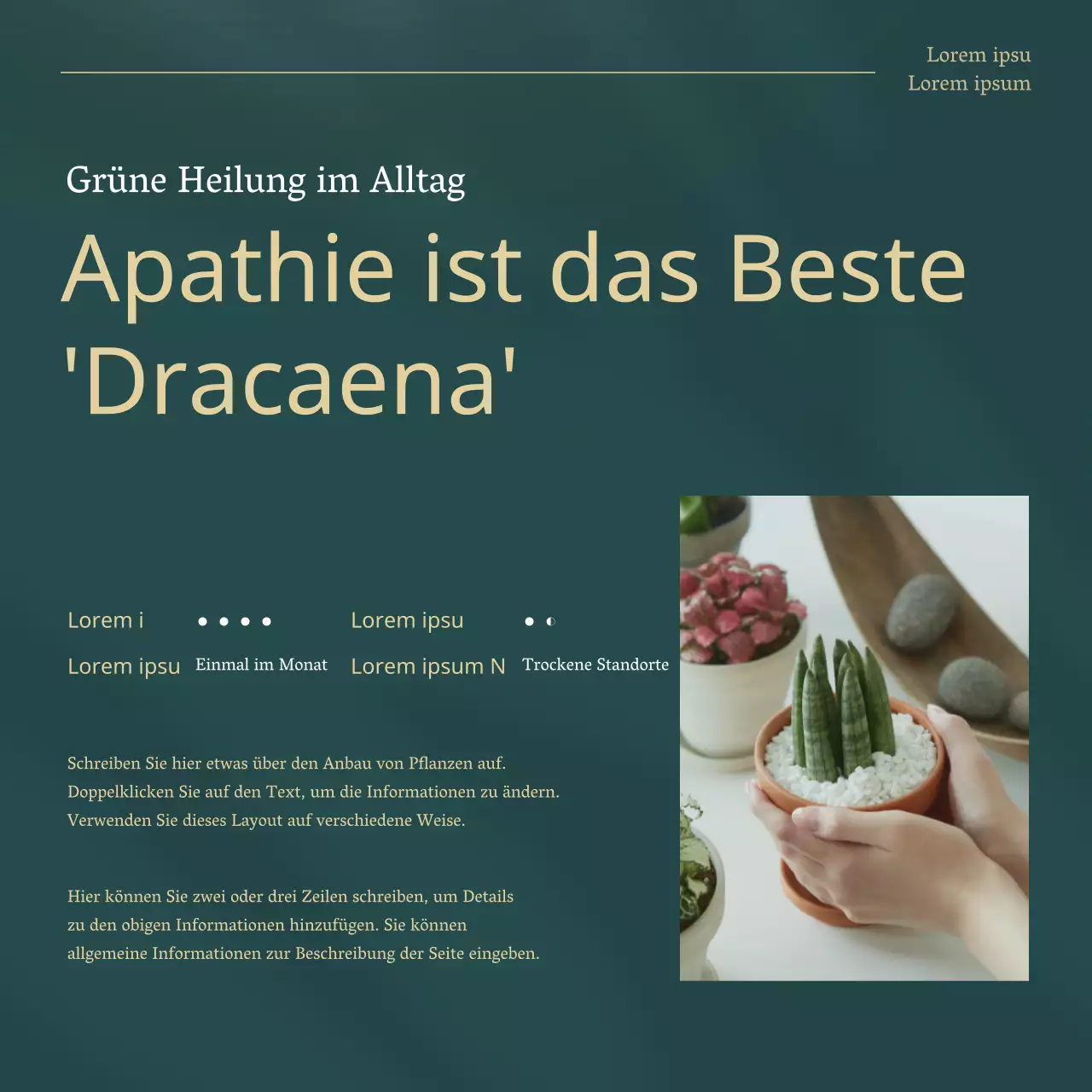 Grüne und goldene Trendpflanzen für Haustiere erklärt