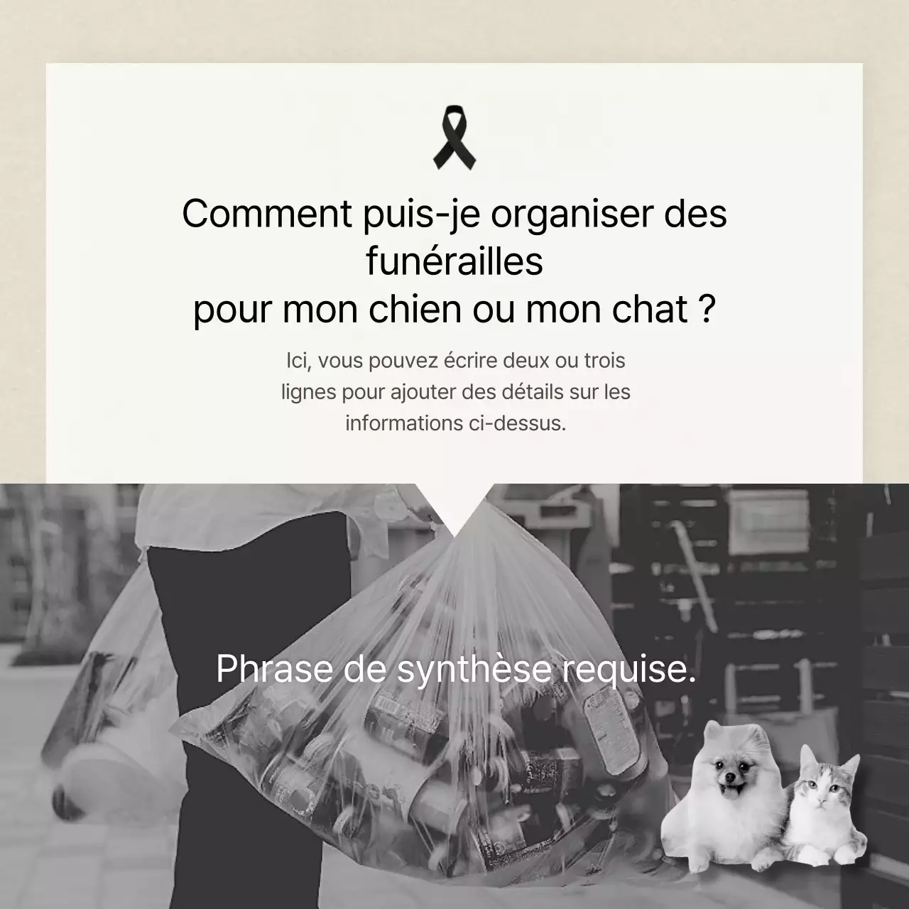 Texte clair en ivoireCartes pour animaux de compagnieNouvelles