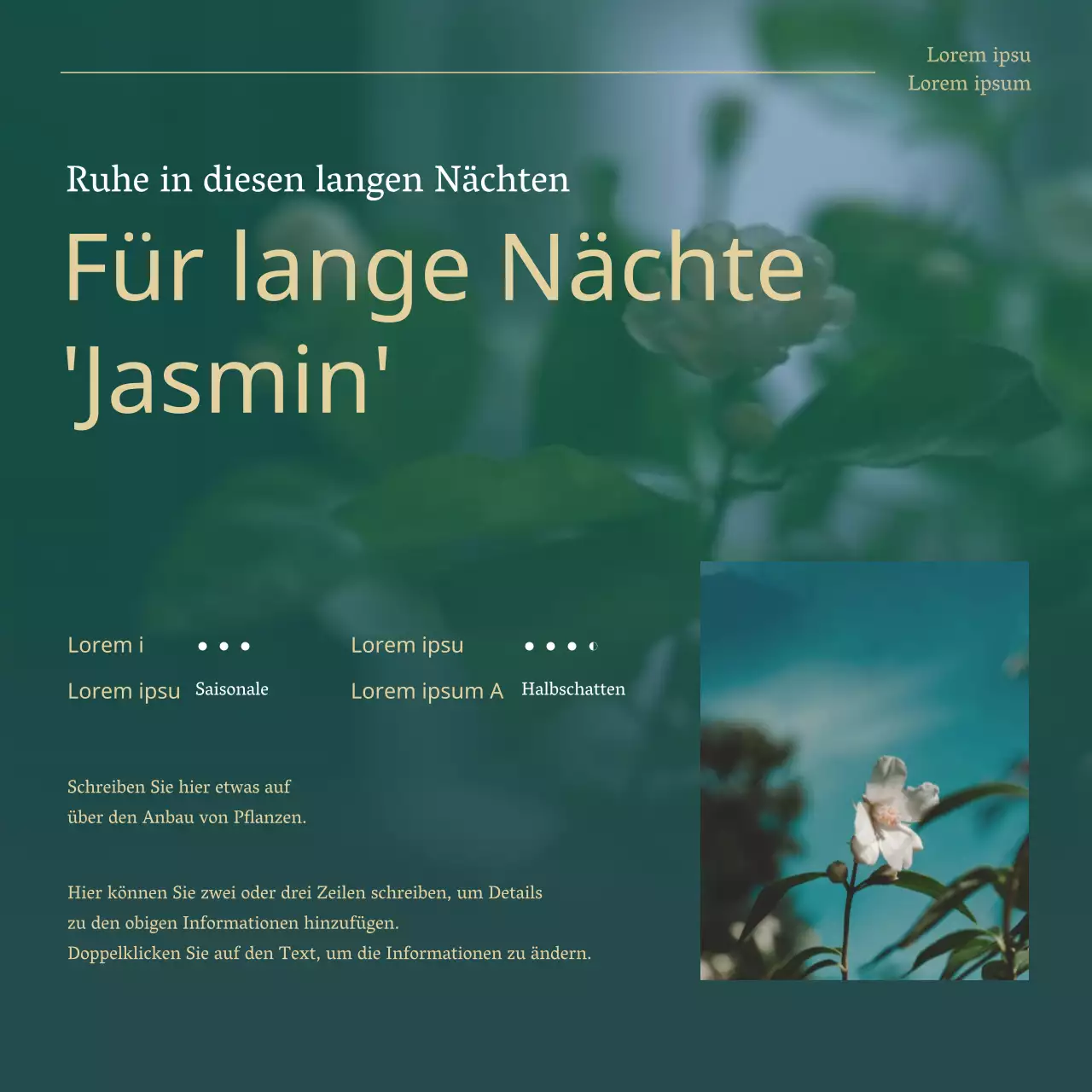 Grüne und goldene Trendpflanzen für Haustiere erklärt