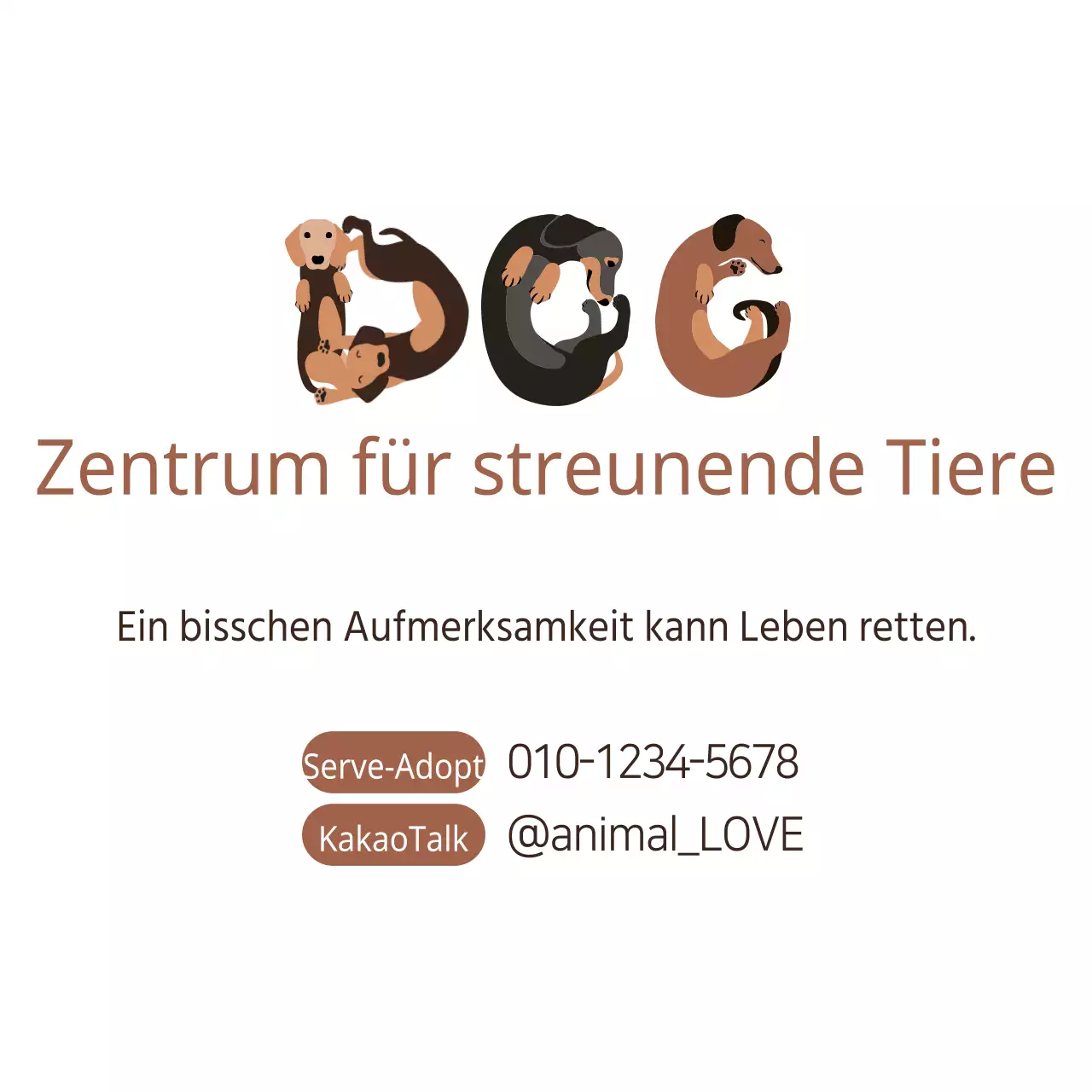 Zentrum für streunende Tiere