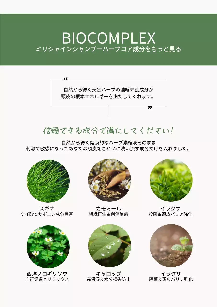 緑 シンプル シャンプー 広告 詳細ページ