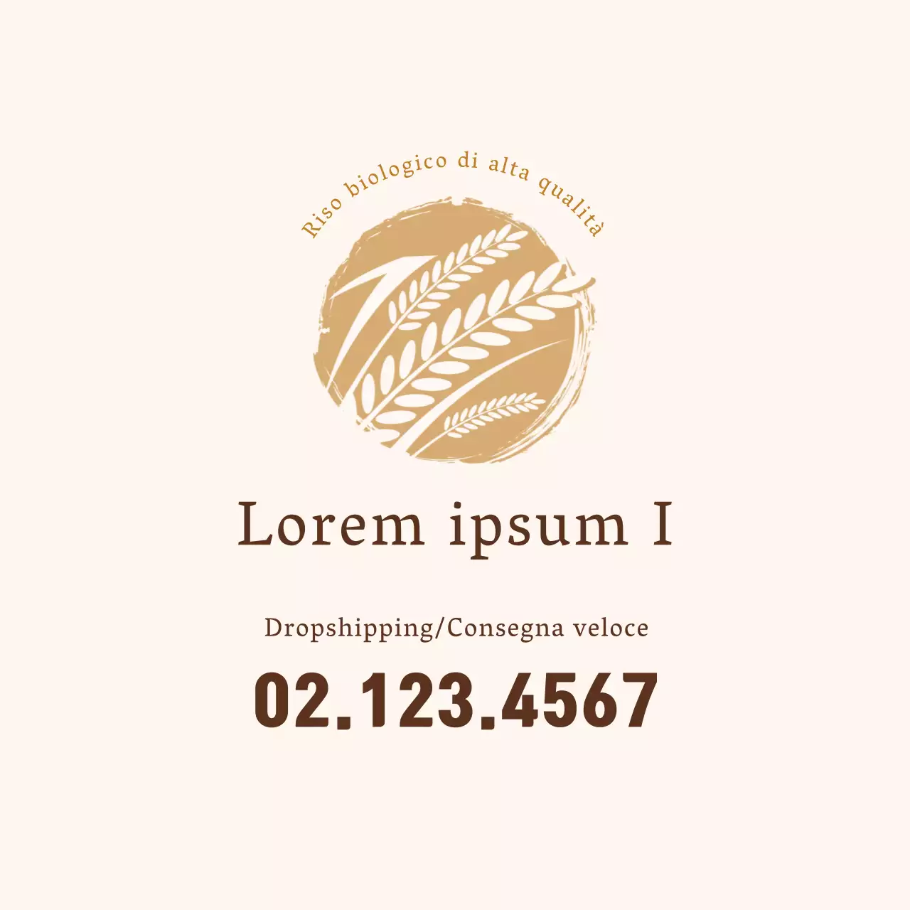 Illustrazione marrone di una fattoria di riso biologico ordinata