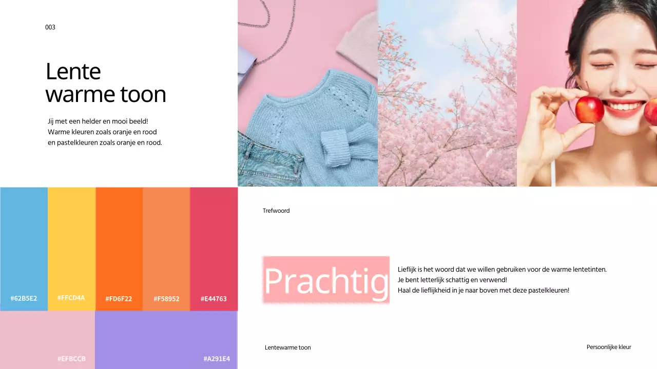 Een regenboog van persoonlijke kleuren voor presentaties