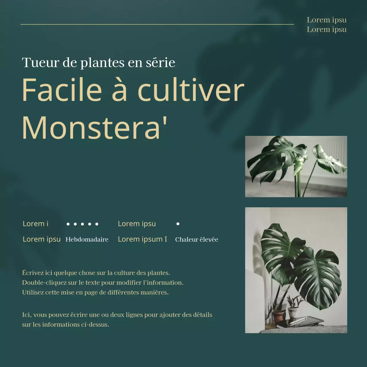 Les plantes vertes et dorées à la mode pour animaux de compagnie expliquées