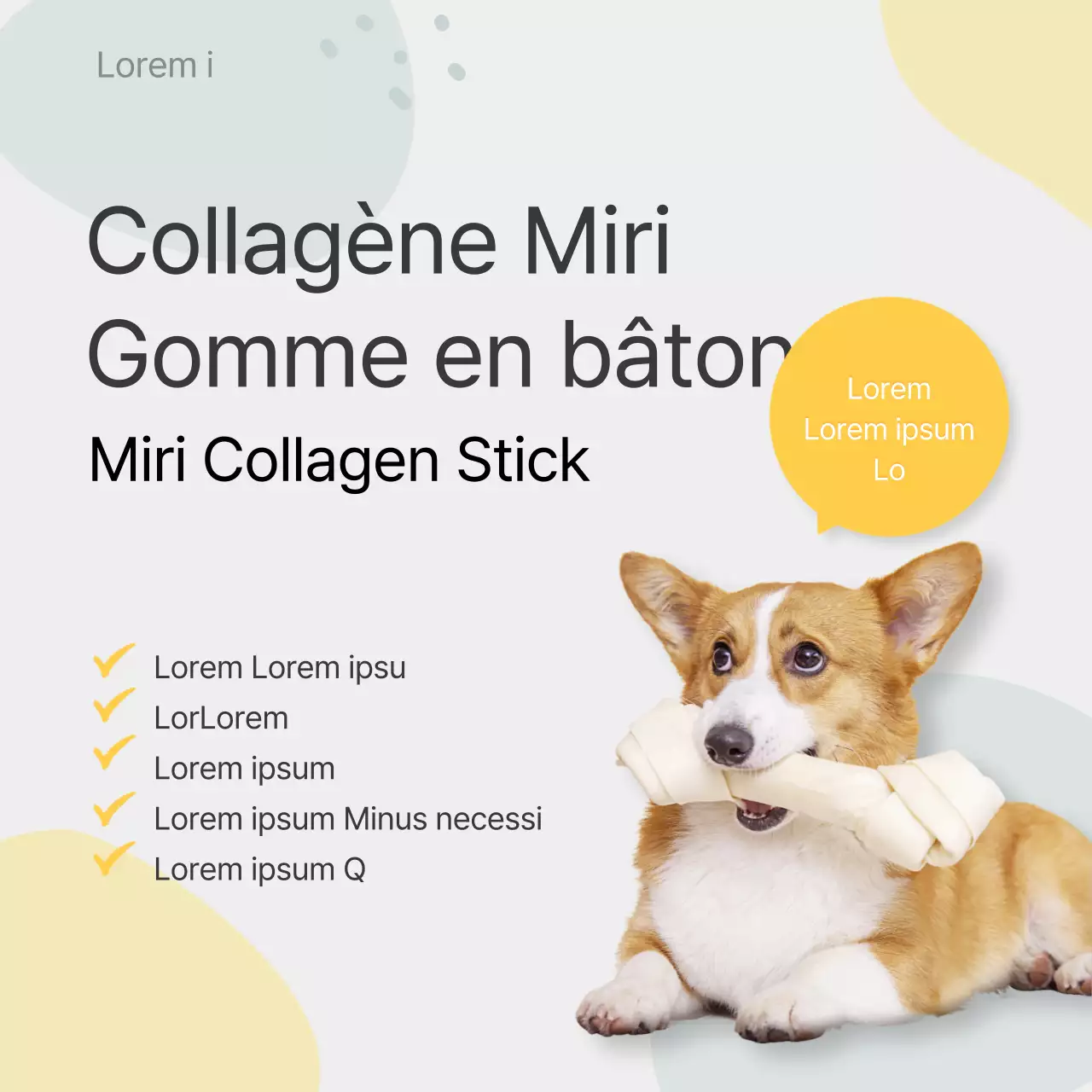 Alertes d'information sur les chiens de couleur pastel