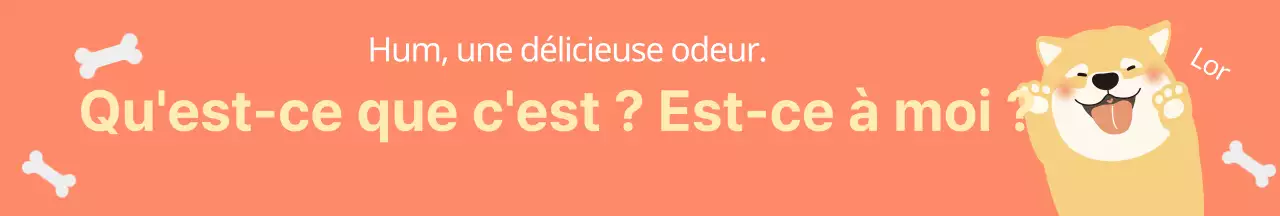 Autocollants pour colis